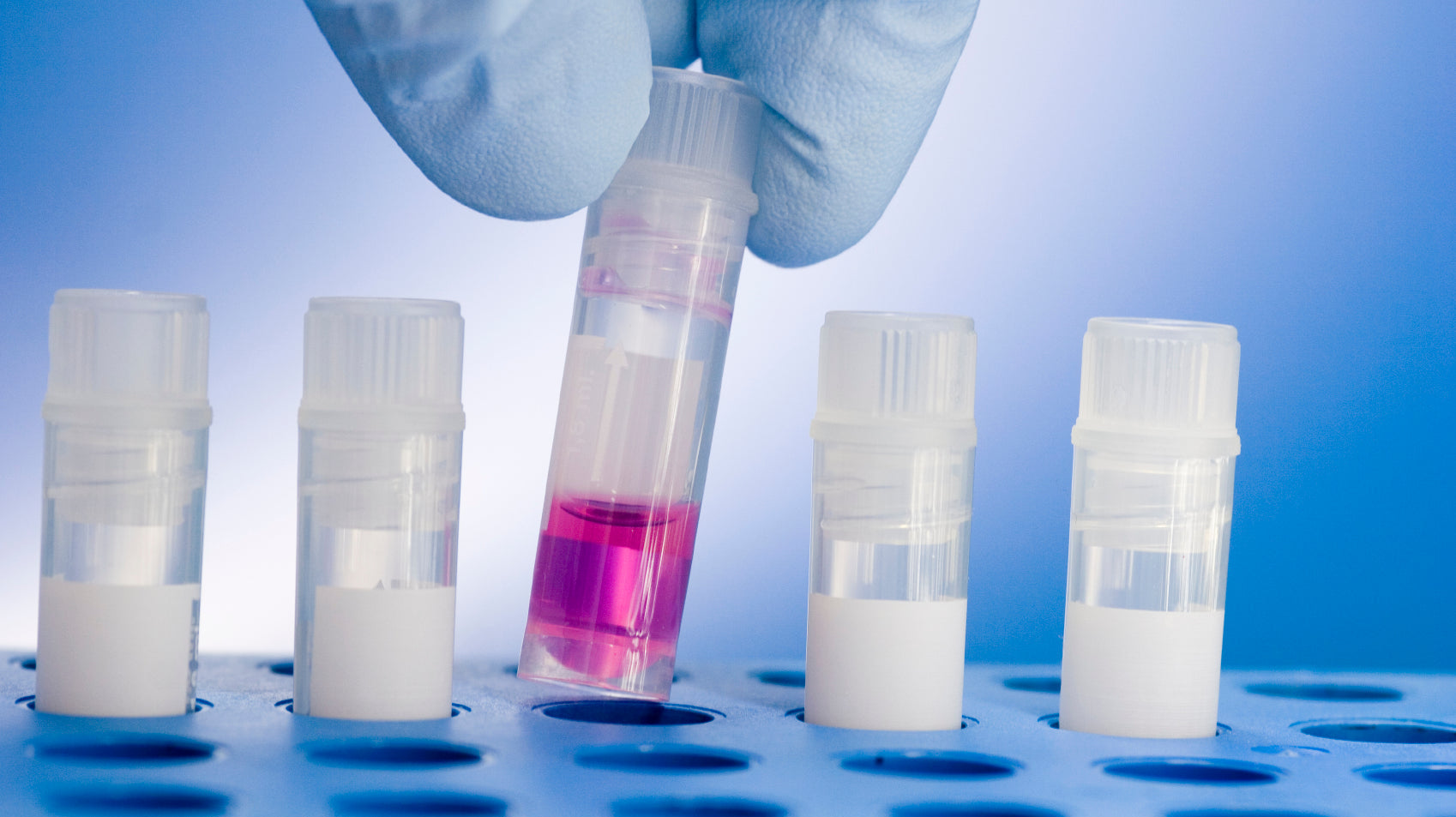 Reagent Kit Manufacturing—Scalable, Sterile, and Regulatory-Ready