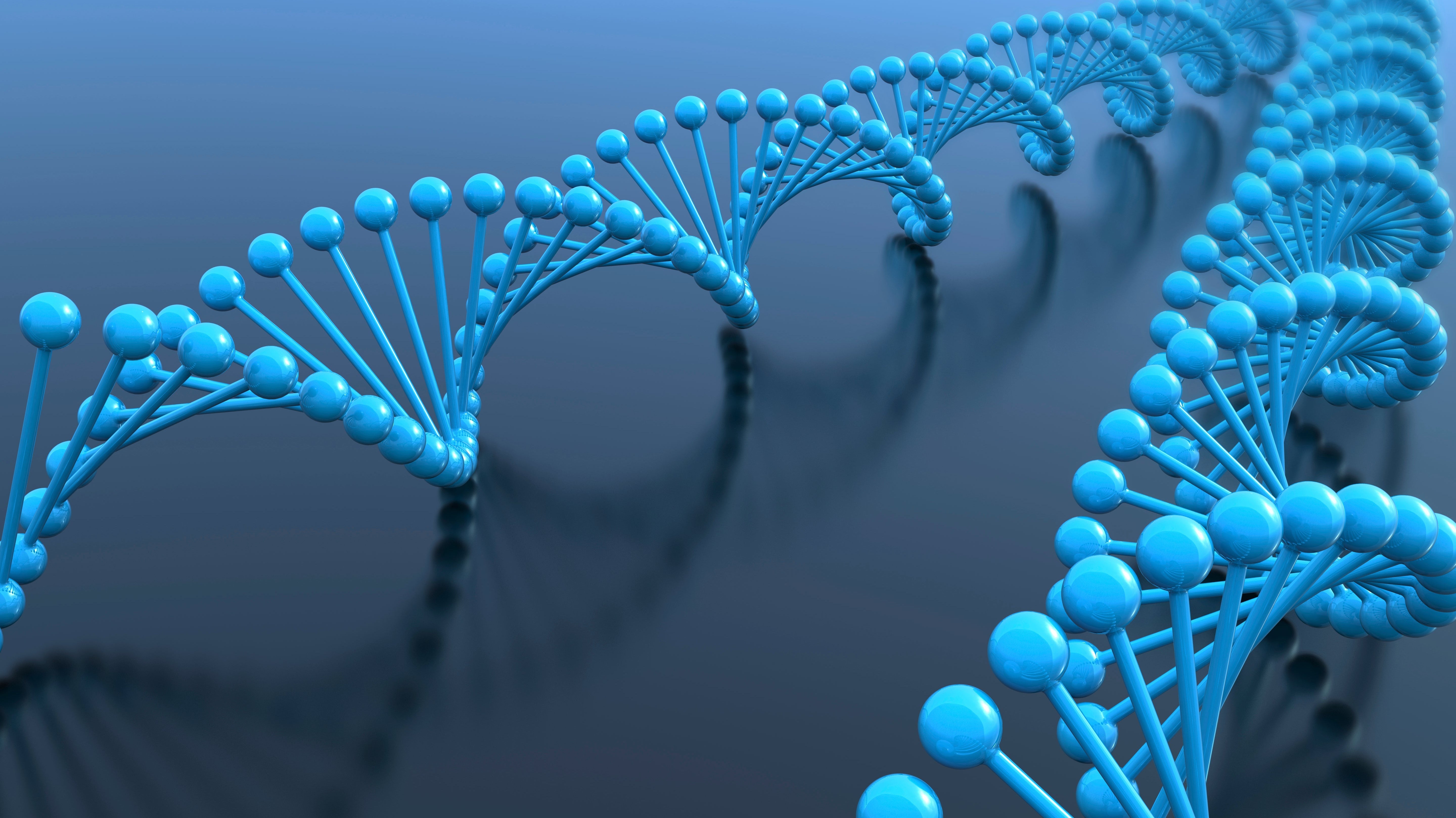 Forensic Grade Products for Human Identification