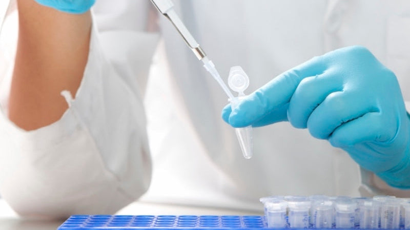 How Spin Columns Improve Sample Preparation in Molecular Biology and Diagnostics