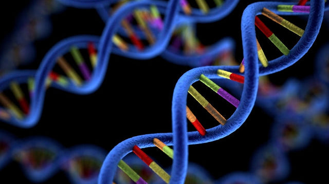 Biotech Product Assembly—Precision Manufacturing for High-Impact Innovation