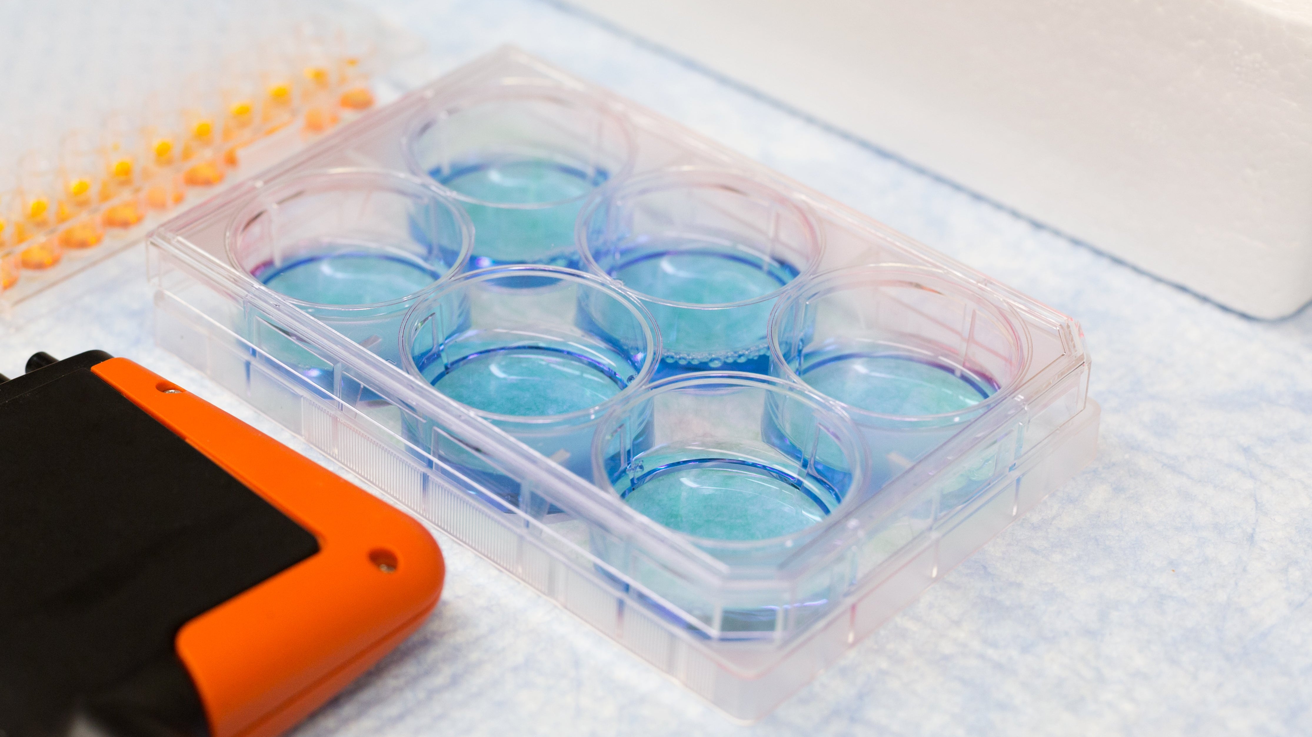 Scaling Medical Manufacturing: From Prototype to Full Production