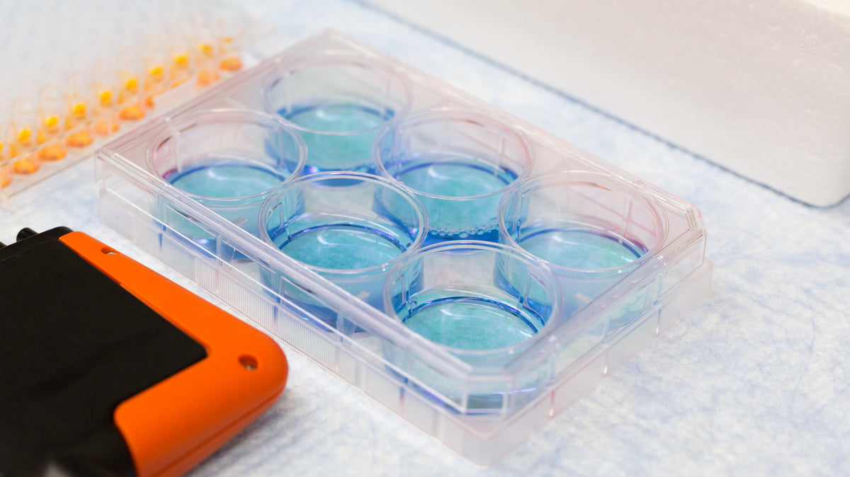 Low-Volume vs. High-Volume Medical Injection Molding