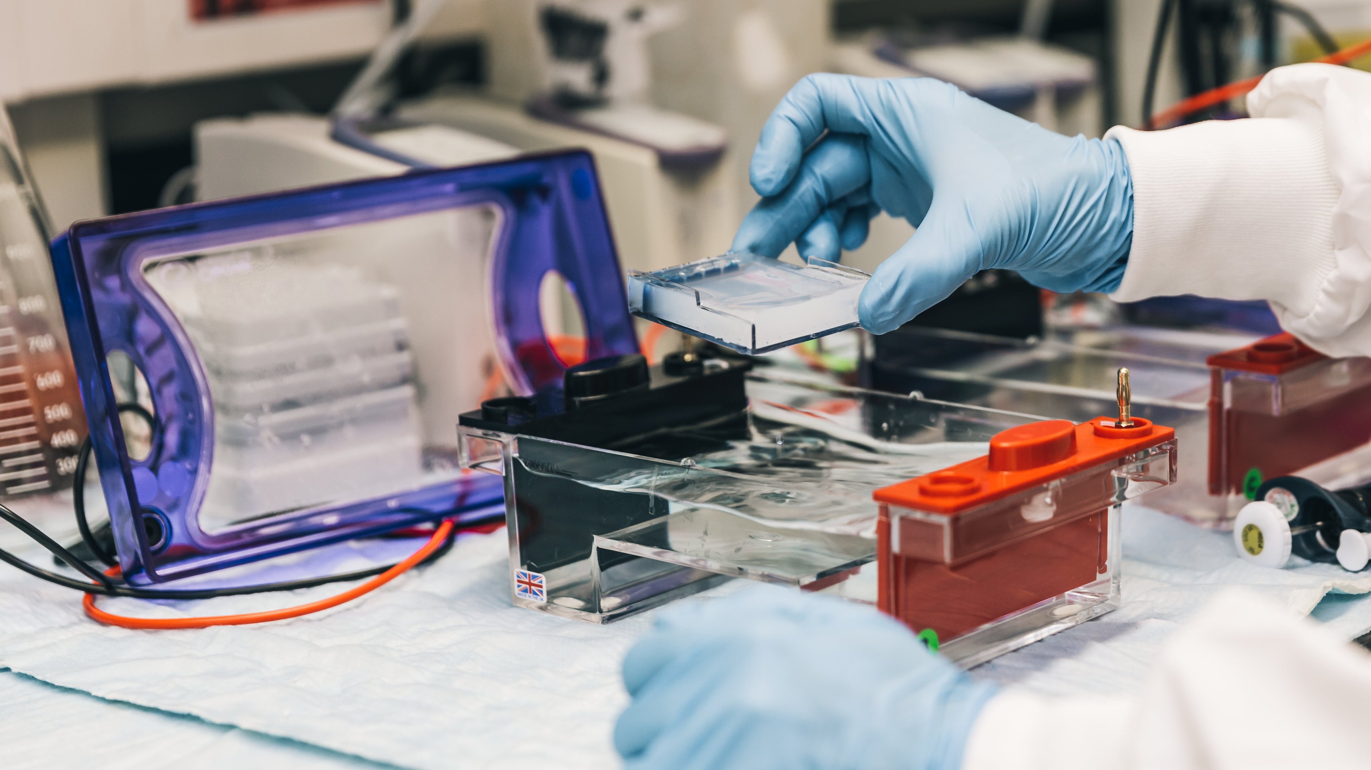 The Future of Disposable Lab Plasticware in Research and Diagnostics