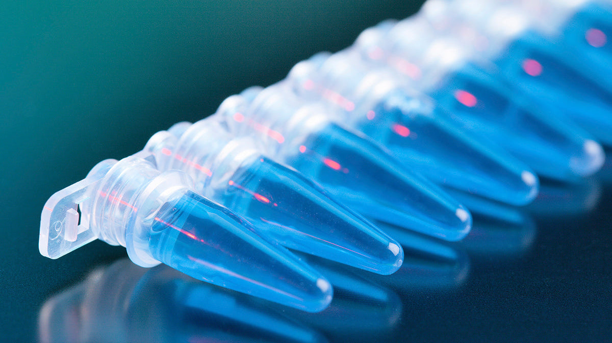 Plastic Injection Molding Services—Precision Manufacturing for Regulated Industries