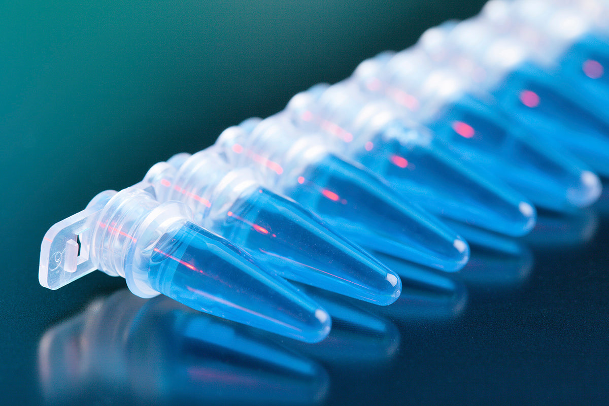 Plastic Injection Molding Services—Precision Manufacturing for Regulated Industries