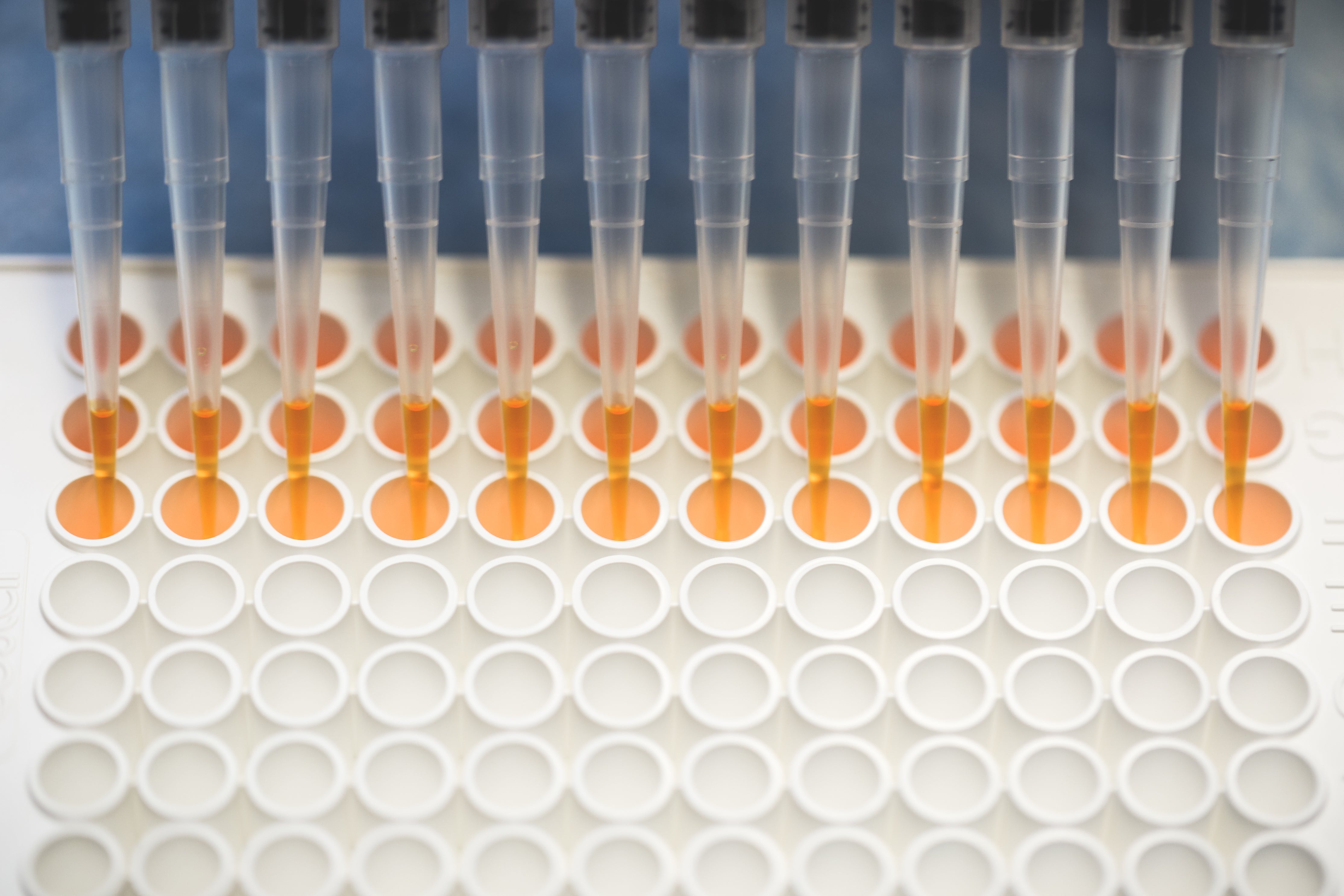 What Does a Medical Contract Manufacturer Actually Do?
