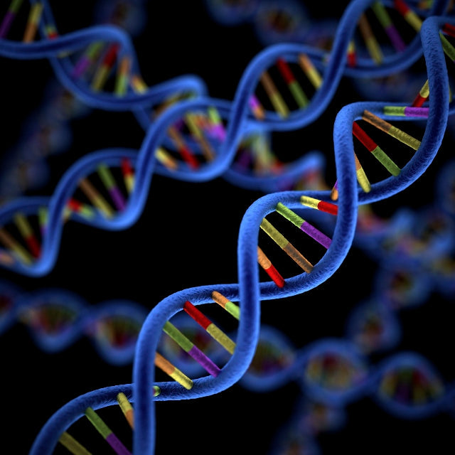 Private Label Reagent Manufacturing: From Formulation to Branded Product