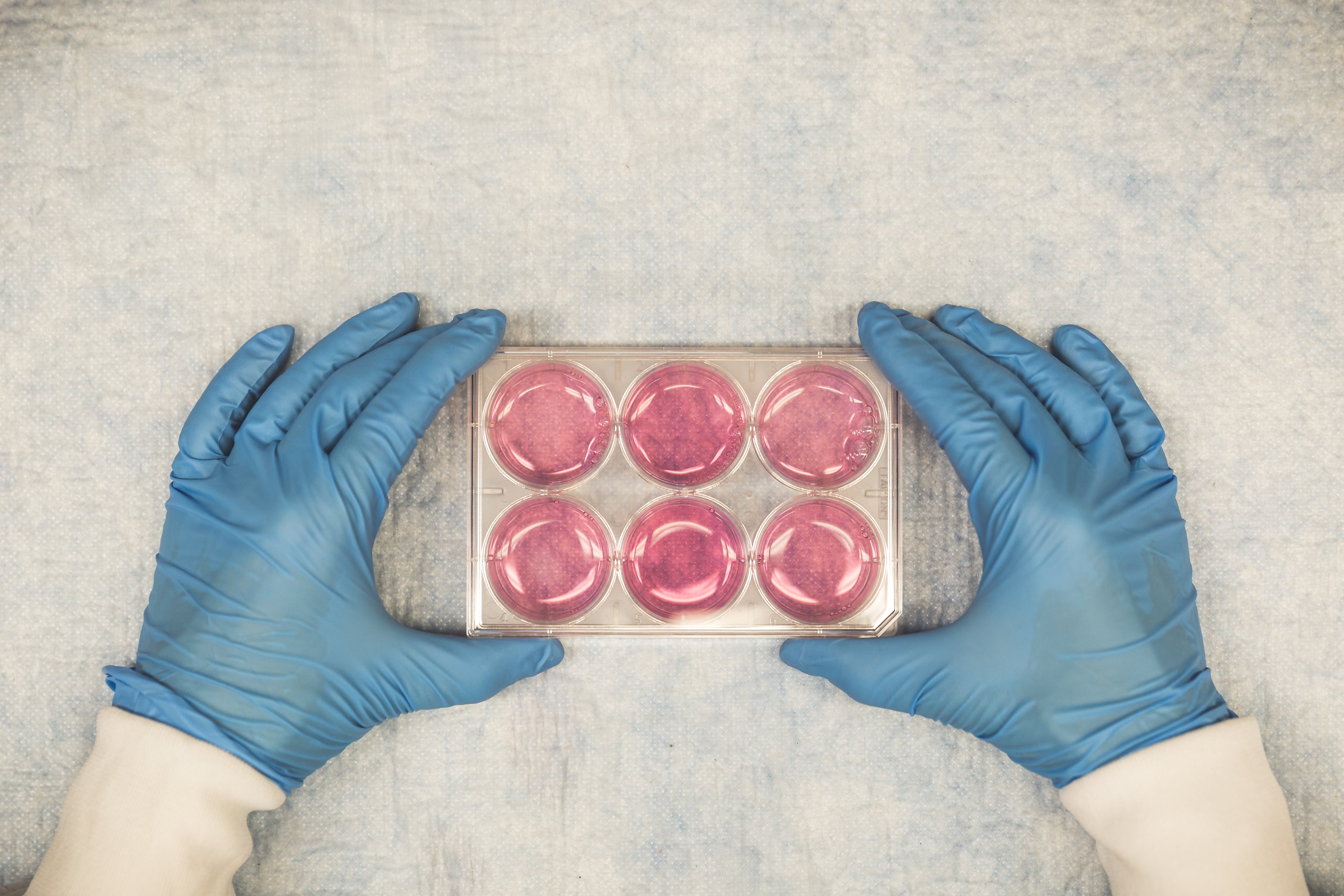 How to Choose a Custom Buffer Manufacturer for Life Science Applications
