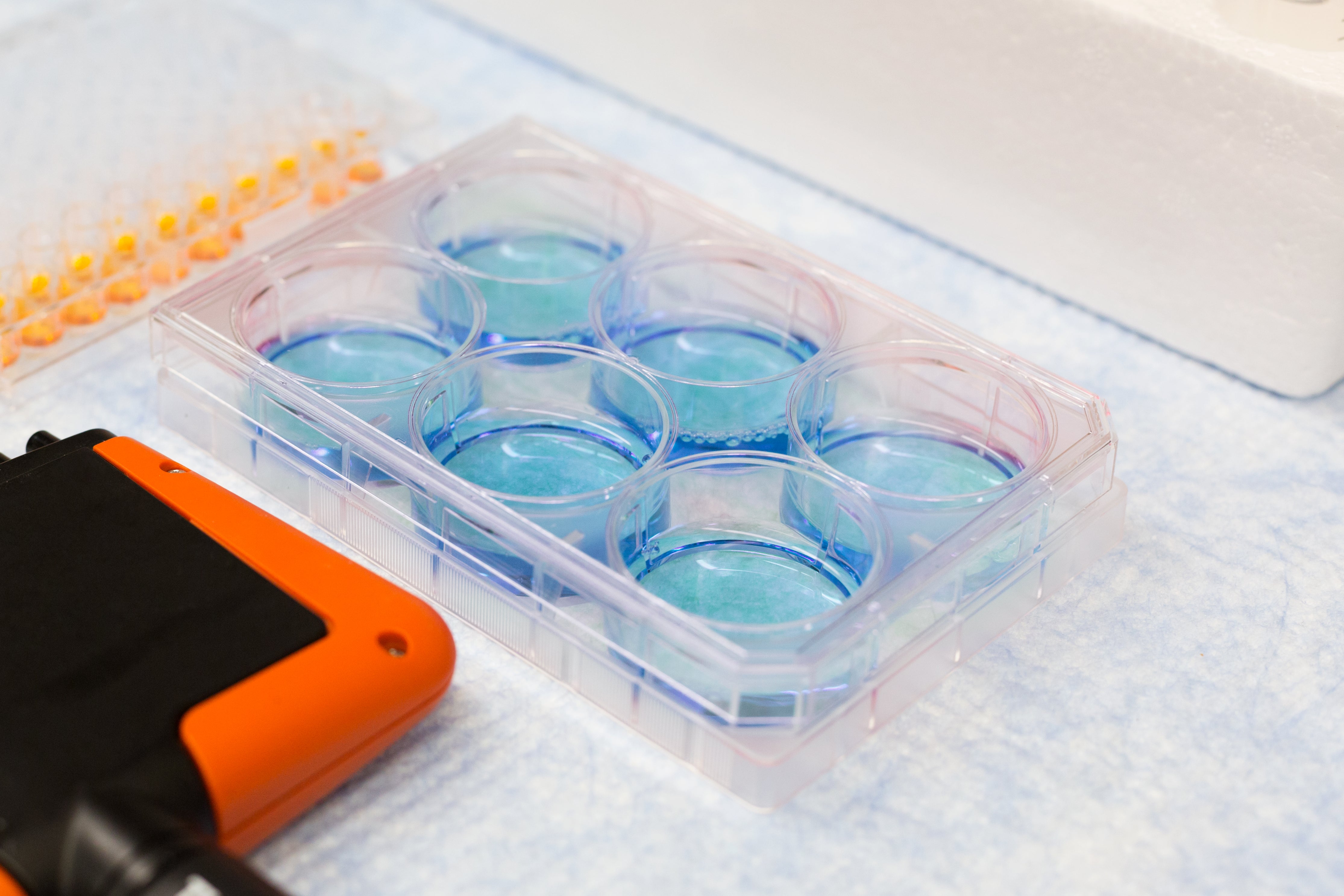 Scaling Medical Manufacturing: From Prototype to Full Production