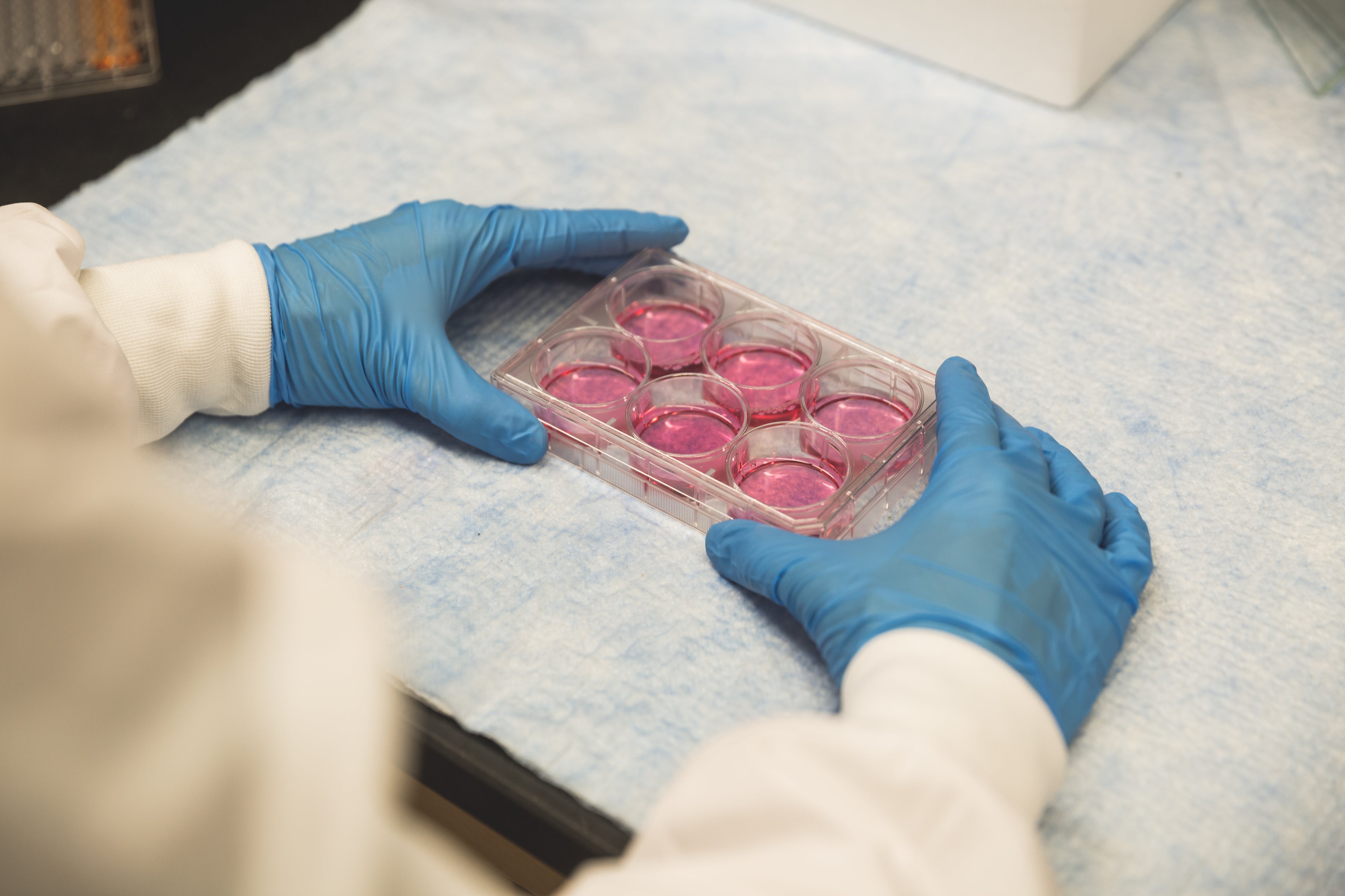 How to Transfer a Medical Product From Your Current Manufacturer to a New Supplier
