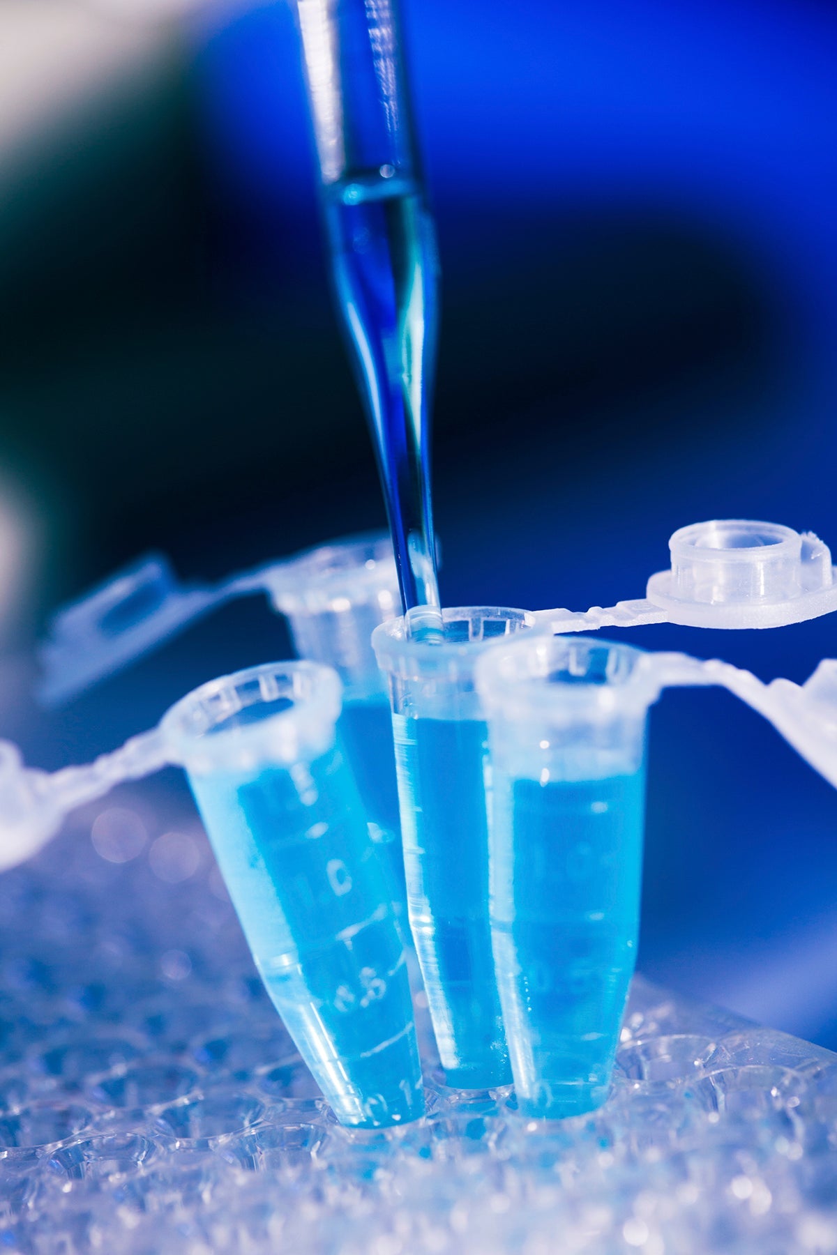 When Should You Replace or Refurbish an Existing Injection Mold?